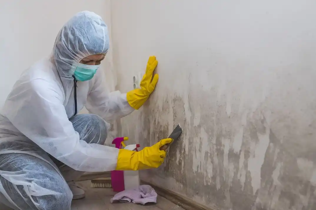 water damage restoration service Pipers Meadow